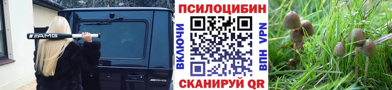 Купить  Северодвинск  Псилоцибиновые грибы мухоморы